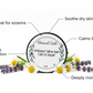 2 oz Calm & Repair balm with lavender, chamomile, and benefit callouts