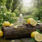 Lemon Vanilla Lip Balm in nature